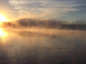 12108909_10153551897810837_2007446078013678992_n