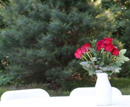 14701049_10154420354715837_8801315791132640878_o